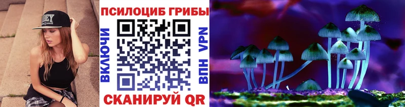 Купить закладки  Вихоревка  Галлюциногенные грибы MAGIC MUSHROOMS 